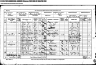 Andrew Anderson 1901 Census Mid-Yell